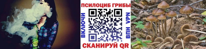 МЕГА сайт  Бийск  Галлюциногенные грибы прущие грибы 