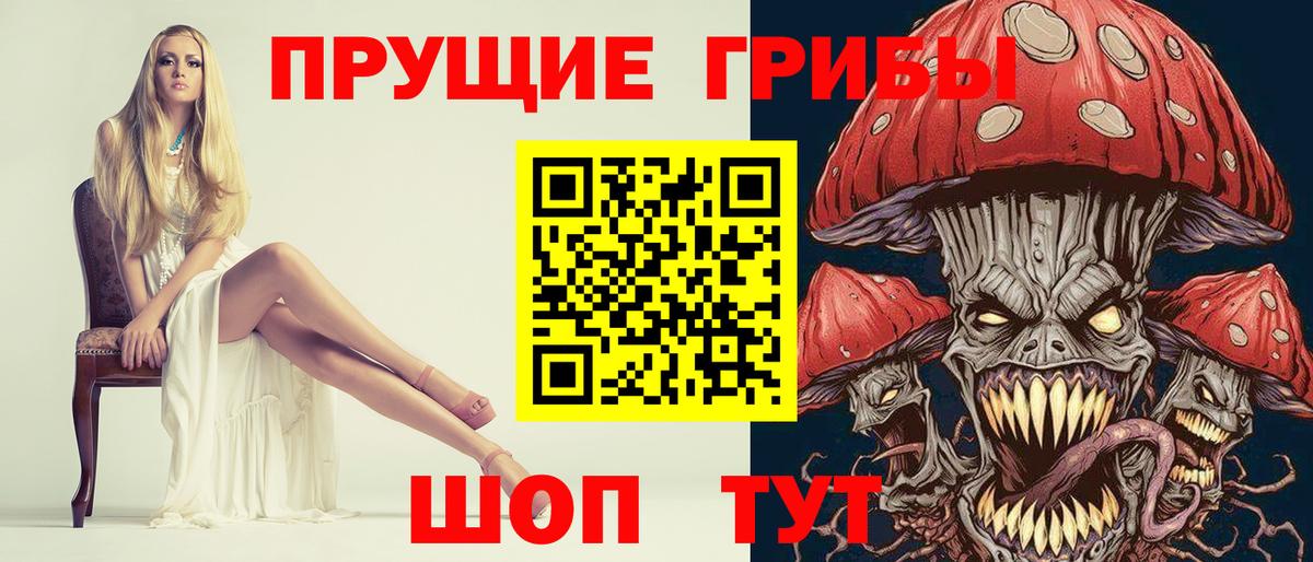 Псилоцибиновые грибы мицелий Бийск